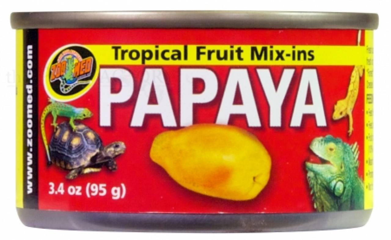 Tropical Fruit "Mix-ins" Papaya 95 g